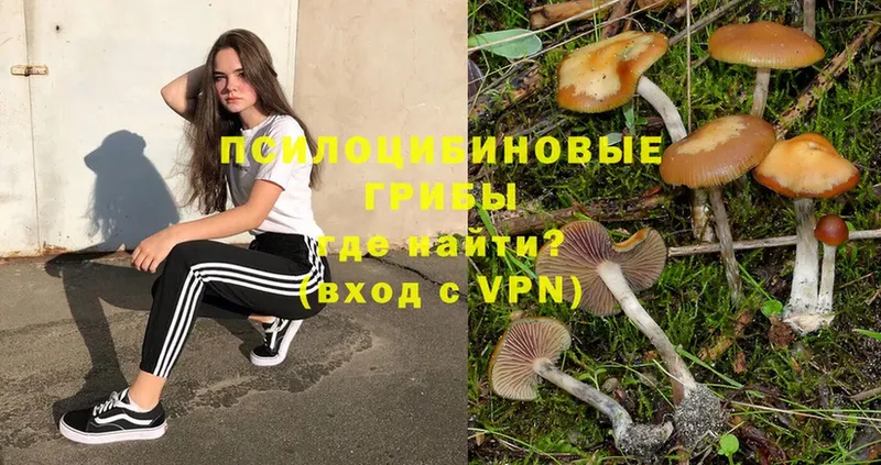 даркнет сайт  МЕГА ссылки  Галлюциногенные грибы Magic Shrooms  Миллерово 